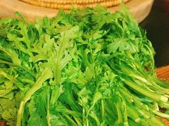 -抚仙湖生态石锅鱼野生菌(告庄店)