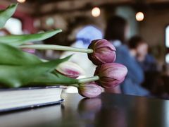 -Cafe Rooftop Cheongsapo