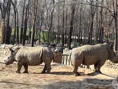 -北京野生动物园