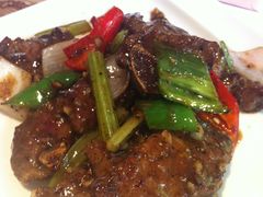 -蝴蝶汇音乐酒馆(罗湖店)