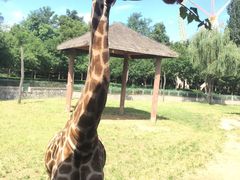 -石家庄市动物园