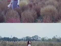 -映月湖中央公园