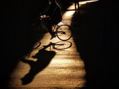 -CGWANG王氏教育(上海校区)