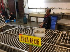 -老幺泉水鸡