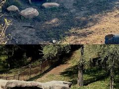 -沈阳森林动物园