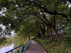 -月湖风景区