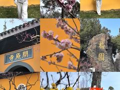 -无锡梅园公园