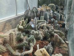 -国家植物园南园