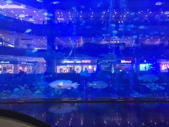 -成都浩海立方海洋公园