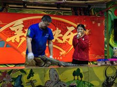 -上海大自然野生昆虫馆(东方明珠·爬宠昆虫探索中心)