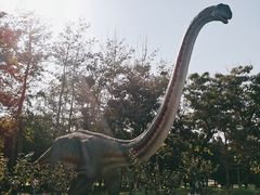 -青龙湖公园