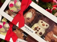 -Laderach 莱德拉(上海环贸iapm店)