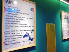 -猫十亿·布偶金渐层·曼基康矮脚猫舍(青年路店)