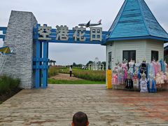 -空港花田景区