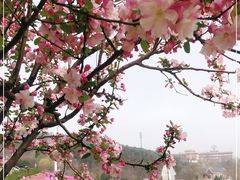 -棒棰岛宾馆景区