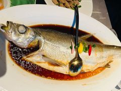 -醉庐·新上海菜(南京西路店)