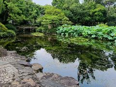 -秋霞圃