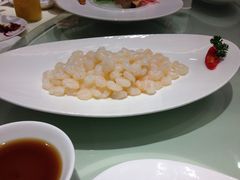 清炒野生河虾仁-圆苑(上海广场店)
