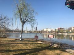 -西海子公园