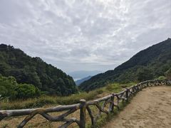 -梧桐山风景名胜区