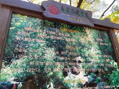 -玉渡山自然风景区