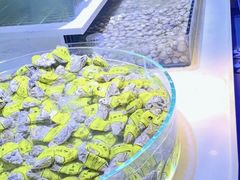 -聚盛源蒸汽海鲜火锅烤肉自助(巨川金海岸购物广场店)