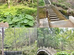 -洛阳白云山景区