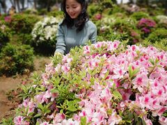 -南山植物园