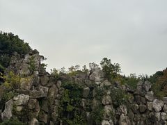 -成都大松果马达攀岩馆(金石店)