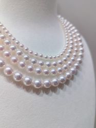 -GiO挚澳珠宝(侨福芳草地店)