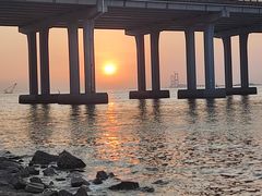 -宝安西湾红树林湿地公园