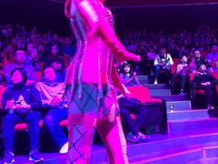 -珠海横琴长隆《卡卡虎奇遇记》