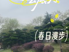-朴园