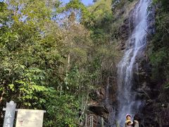 -九龙江国家森林公园