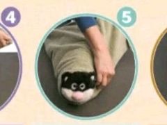 -瑞鹏宠物医院犬猫全科(真大分院)