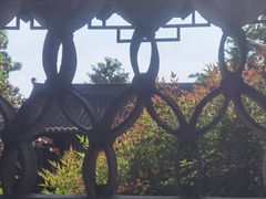 -梅园