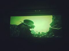 -飞扬影城(正佳IMAX店)