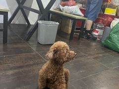 -沉香牛肉面