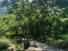 -大岭沟猕猴桃谷风景区