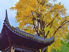 -惠山古镇·寄畅园