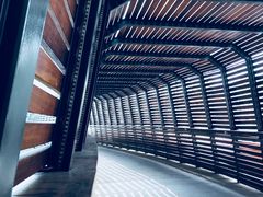 -昆山城市生态森林公园