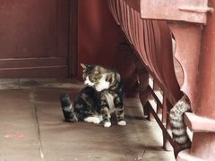 -乐山大佛风景名胜区乌尤寺南门-售票点