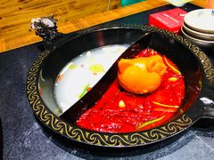 -渝大龙重庆火锅(温泉月亮湾店)