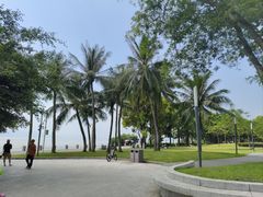 -深圳湾公园(南山区)