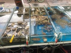 水产区-87号烧烤海鲜·大排档(金沙滩店)