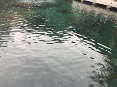 -闫府私房菜·百年鲁菜(恒隆店)