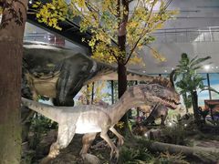 -湖南省地质博物馆