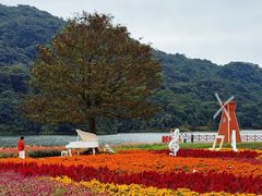 -广州市石门国家森林公园