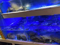 -王捌小院(红花坡店)
