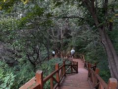 -大岭沟猕猴桃谷风景区